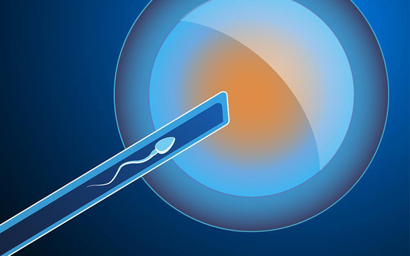 邯郸试管婴儿医院