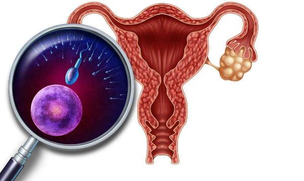 邵阳不孕不育医院