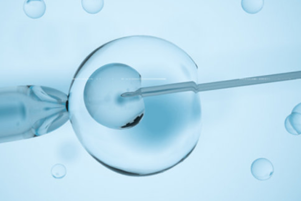 辽宁包生小孩子价格